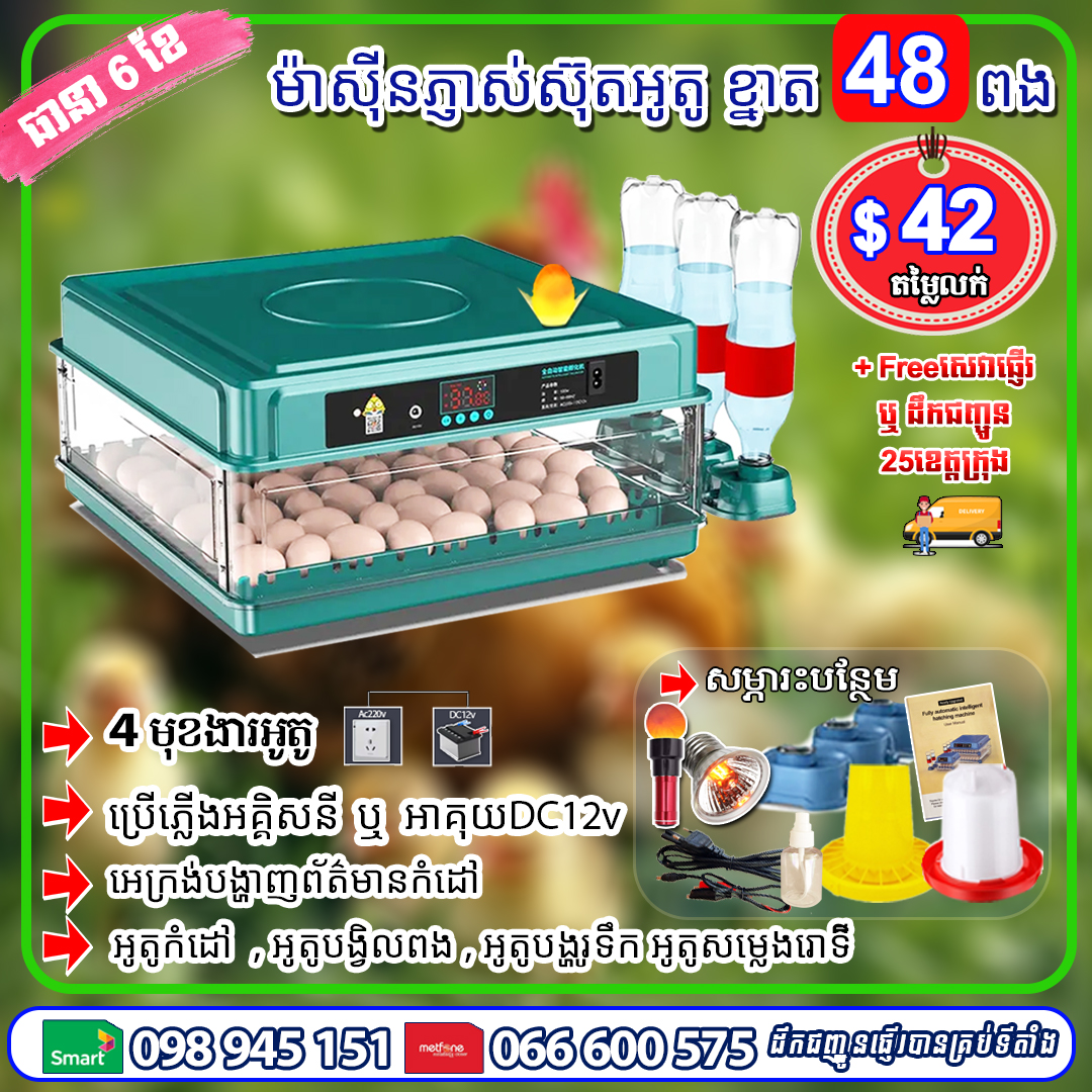 ម៉ាស៊ីនភ្ញាស់ស៊ុត ខ្នាត 48 ពង (បៃតង)